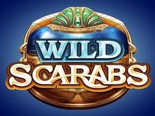 Wild Scarabs icon